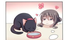 小喵漫画,趣味横生的日常趣事