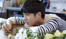 娱乐圈吃瓜少年日常,吃瓜少年的日常揭秘